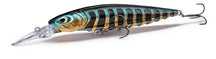 Poisson nageur Nays MD MX 80 MR
